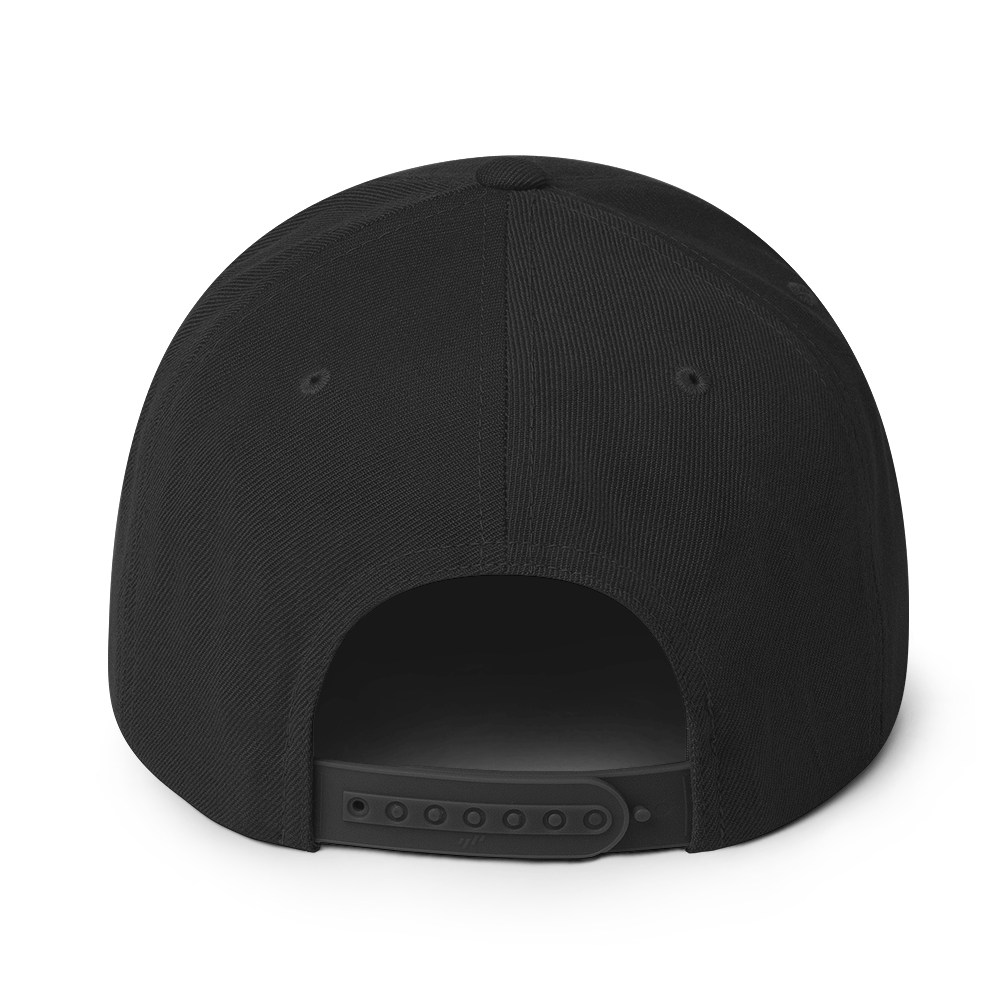 REVIVALHOOD® Forgiven Snapback Hat